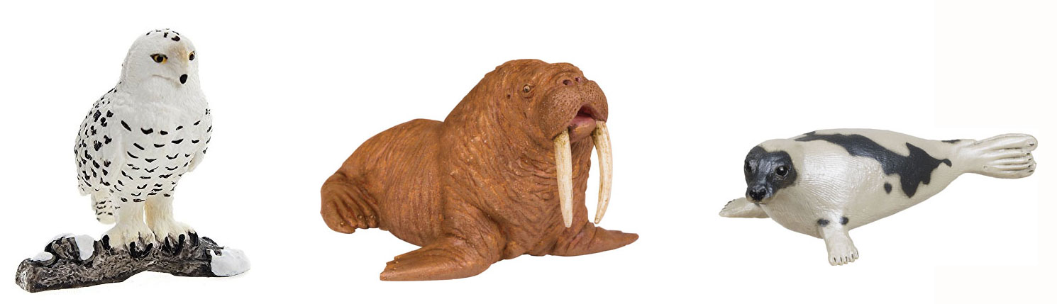 Walrus with tusks – Harp seal – Snowy Owl. Arctic Animals – Montessori  Materials