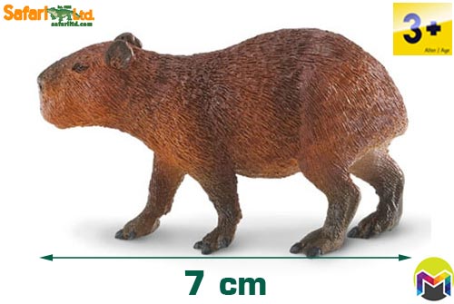 Safari 227629 Capybara – Montessori Materials