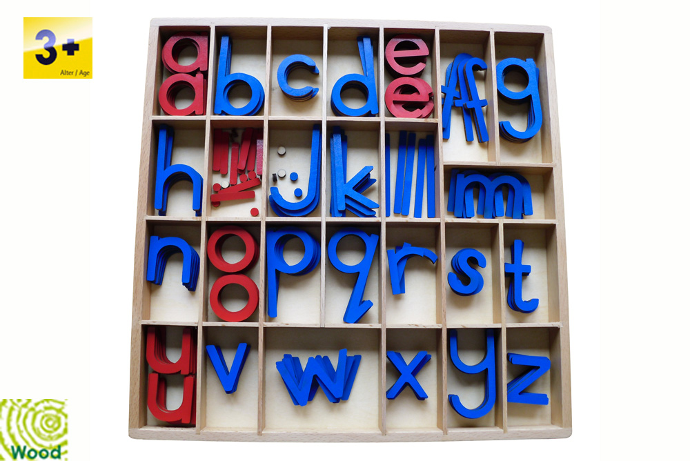 Box with Small Moveable Alphabet – Red Vowels – Blue Consonants ...
